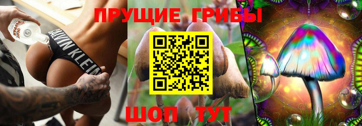 Белая Калитва  Галлюциногенные грибы Psilocybe  Псилоцибиновые грибы Magic Shrooms  Вход с VPN 