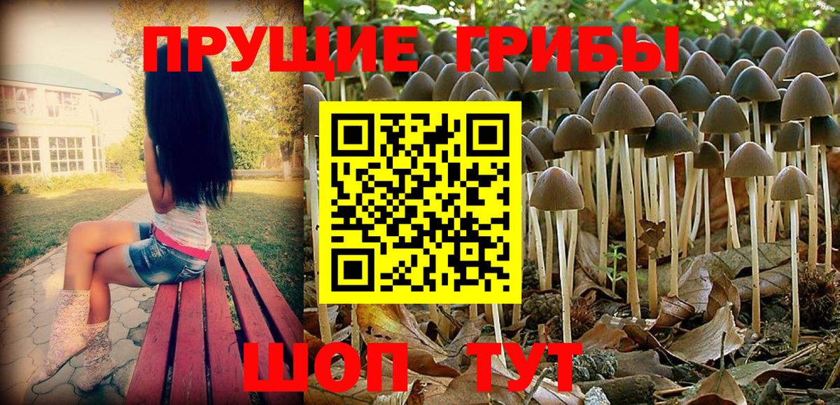 Псилоцибиновые грибы Cubensis Белая Калитва