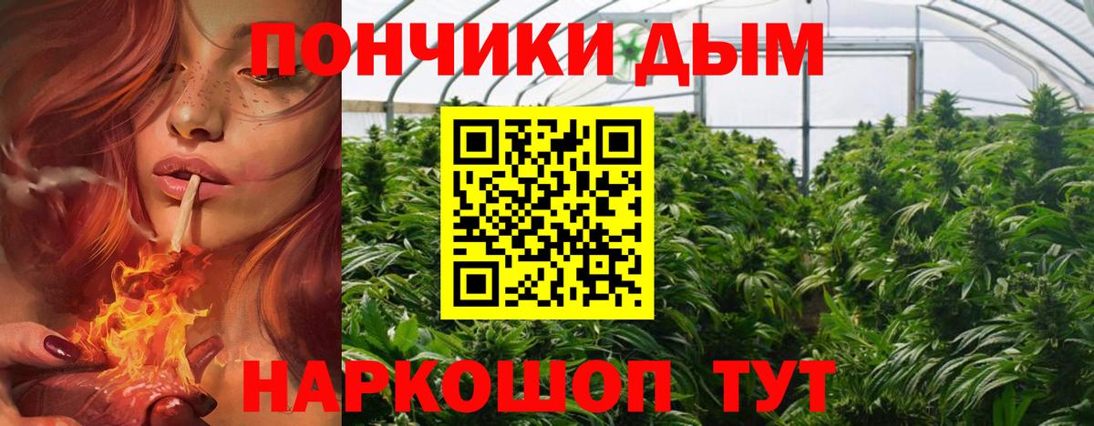 Бошки Шишки сатива Белая Калитва